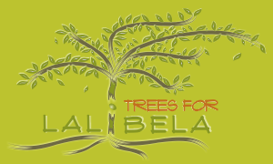 Lalibela trees