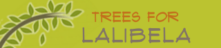 Lalibela trees